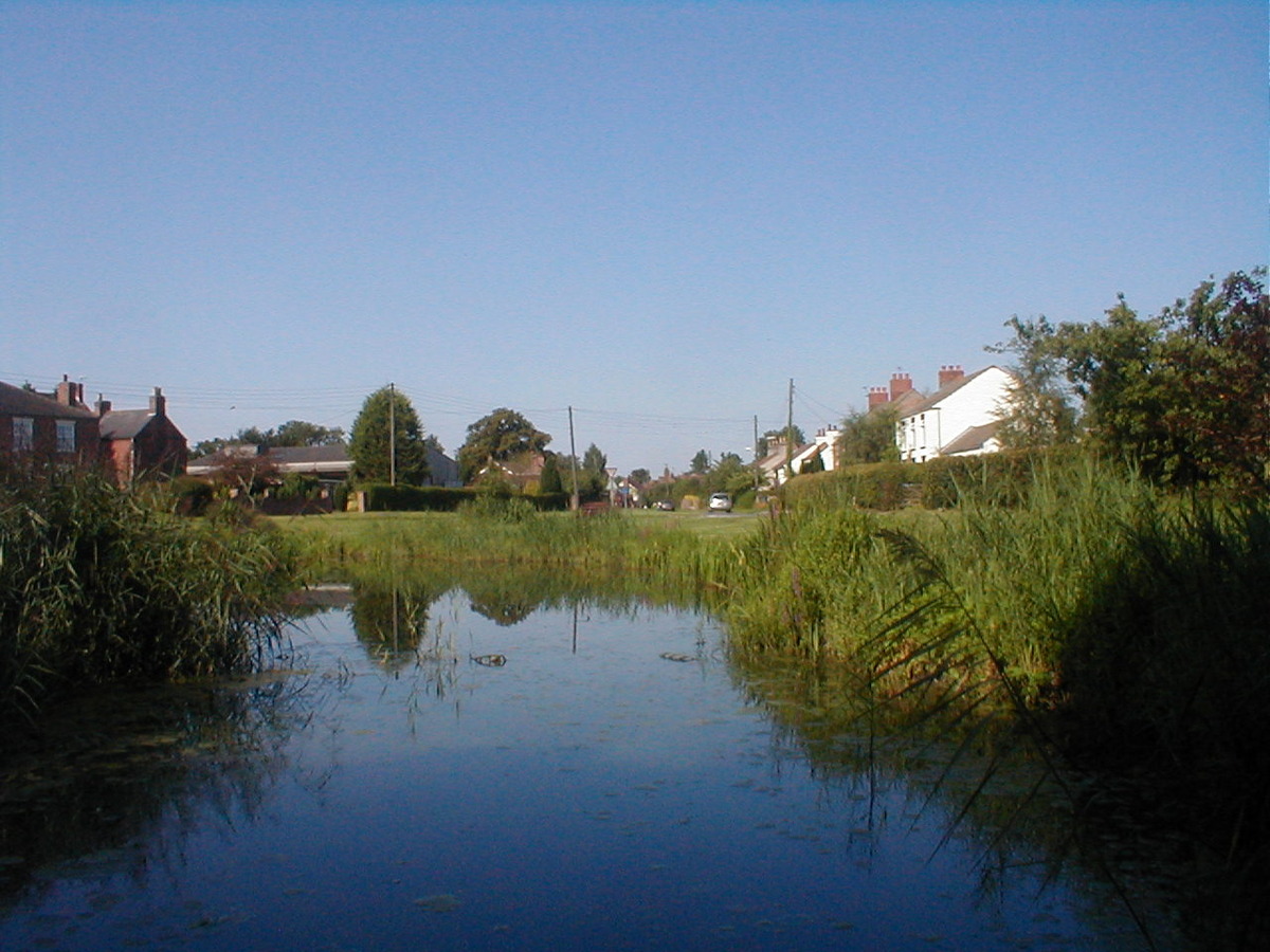 View from Ellerton pond